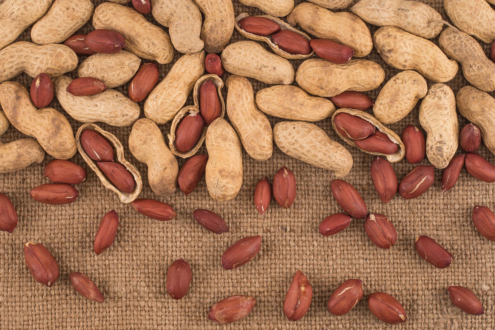 Dos porciones al día de cacahuetes tostados y con piel mejoran la salud cerebral en mayores. (Bigstock)