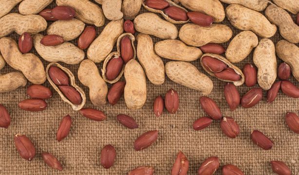 Dos porciones al día de cacahuetes tostados y con piel mejoran la salud cerebral en mayores. (Bigstock)