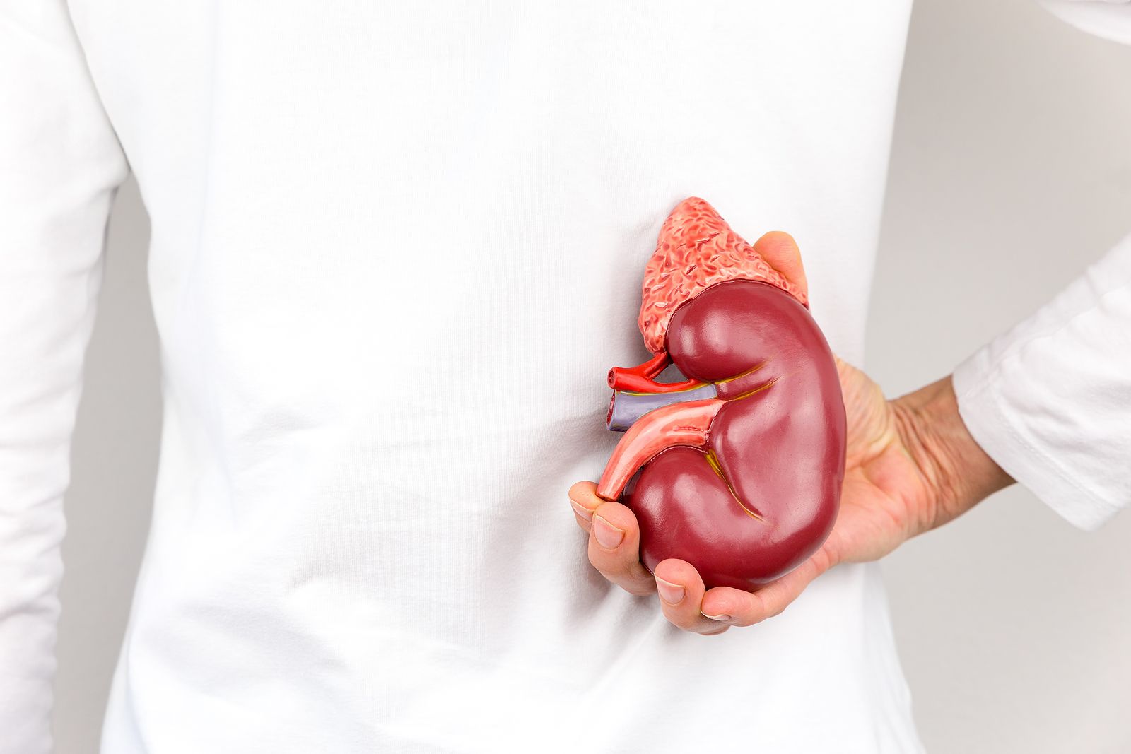 Un 30% de pacientes en España tendría enfermedad renal crónica. Foto: Bigstock.