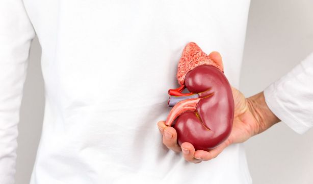 Un 30% de pacientes en España tendría enfermedad renal crónica. Foto: Bigstock.