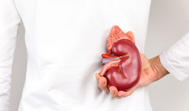 Un 30% de pacientes en España tendría enfermedad renal crónica. Foto: Bigstock.