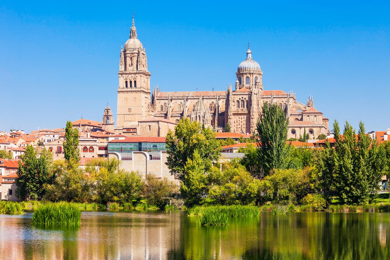 Ruta por los monumentos de Salamanca para mayores