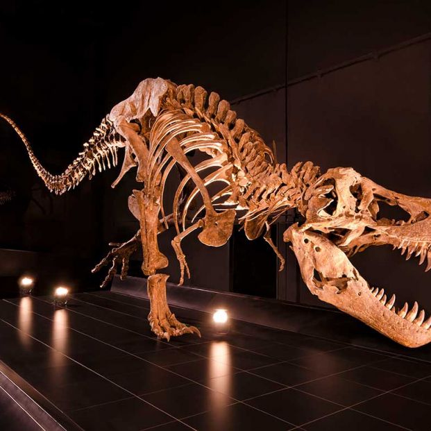  Museos curiosos; museo paleontologico Dinópolis (web Museo paleontológico Dinóplis)
