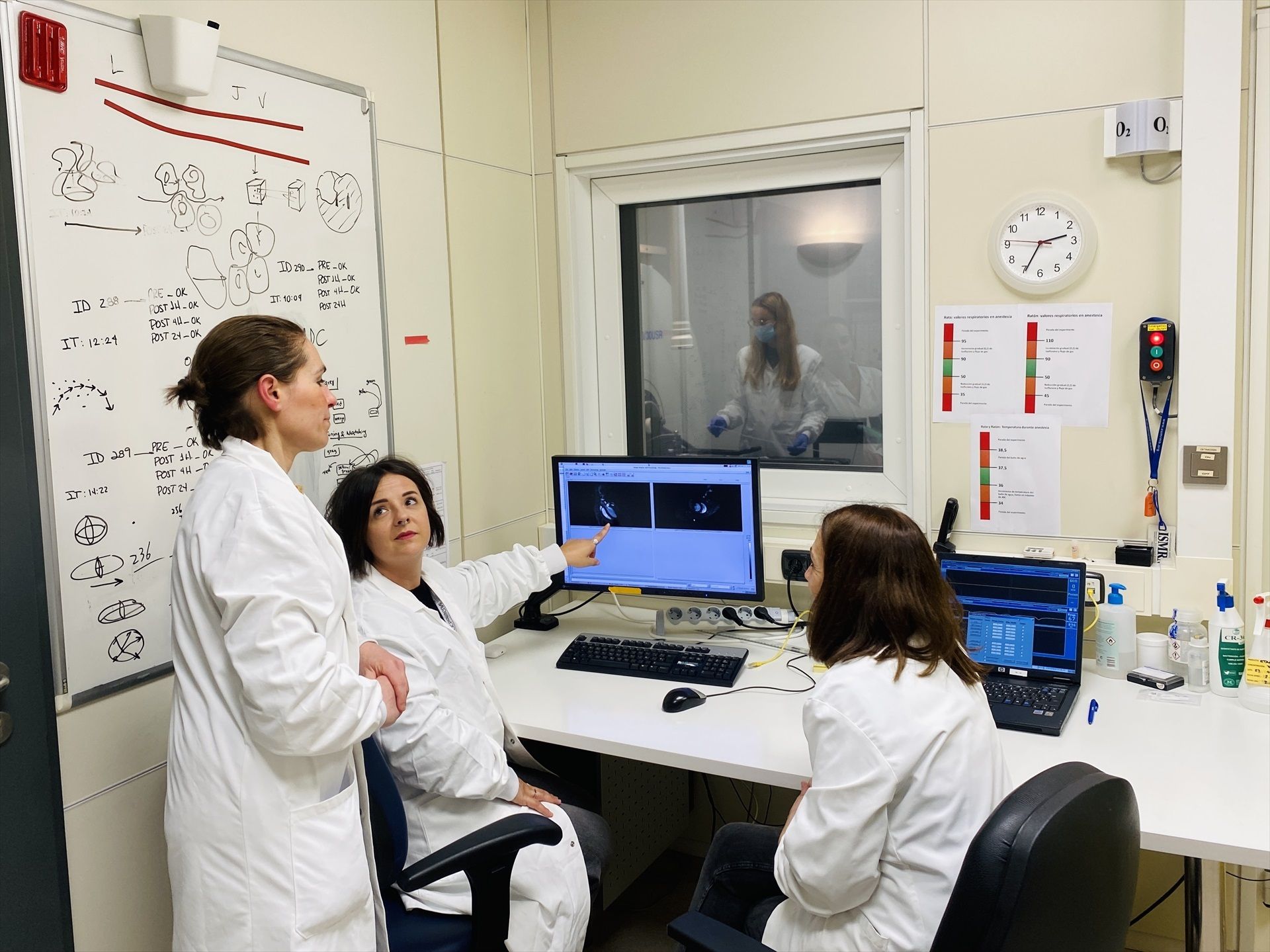 El aspartamo reduce la grasa corporal, pero podría afectar al corazón y al cerebro. Foto: Europa Press.