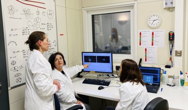 El aspartamo reduce la grasa corporal, pero podría afectar al corazón y al cerebro. Foto: Europa Press.