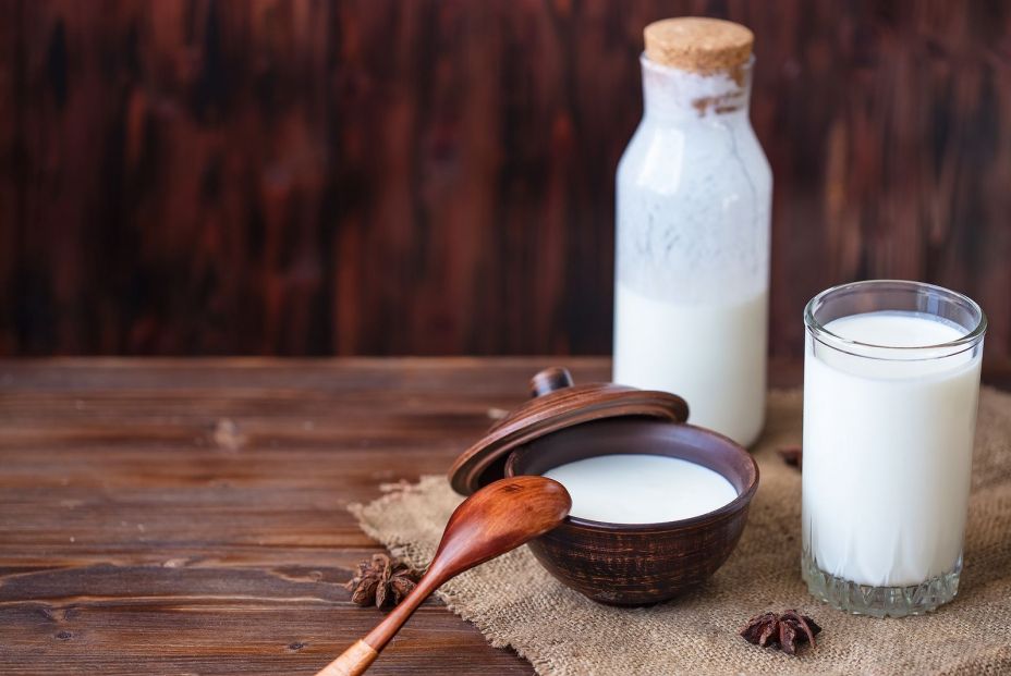 Alimentos probióticos. (Bigstock)