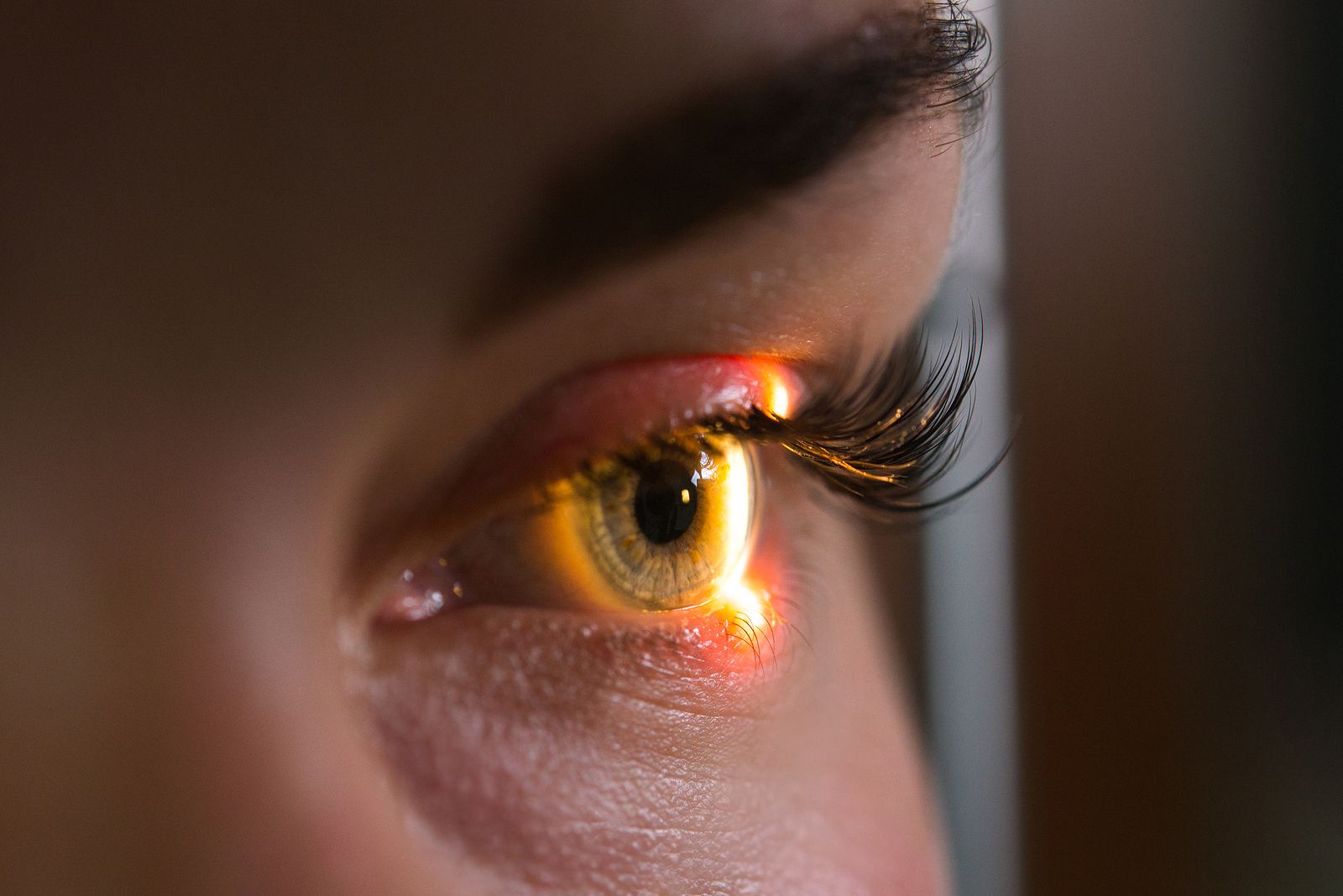Glaucoma, la ceguera que llega en silencio: la única manera de detectarlo