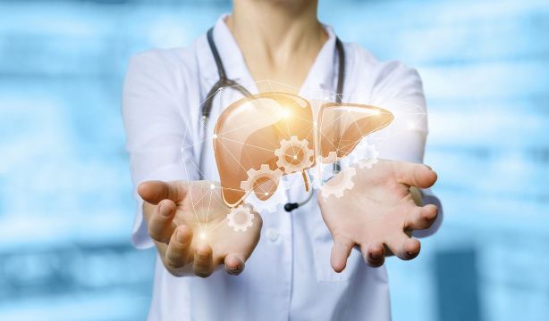 Descubren el mecanismo que subyace a la enfermedad del hígado graso y la aversión al dulce. Foto: Bigstock.