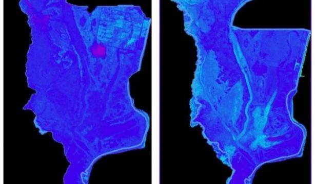 Un algoritmo prevé la desaparición de la marisma de Doñana en 61 años. Fuente: Europa Press.