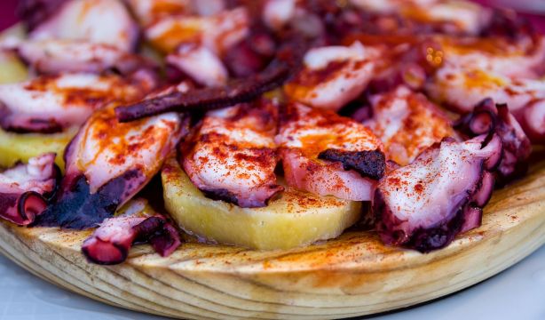 Estos son los platos navideños más fotogénicos de España (Bigstock)