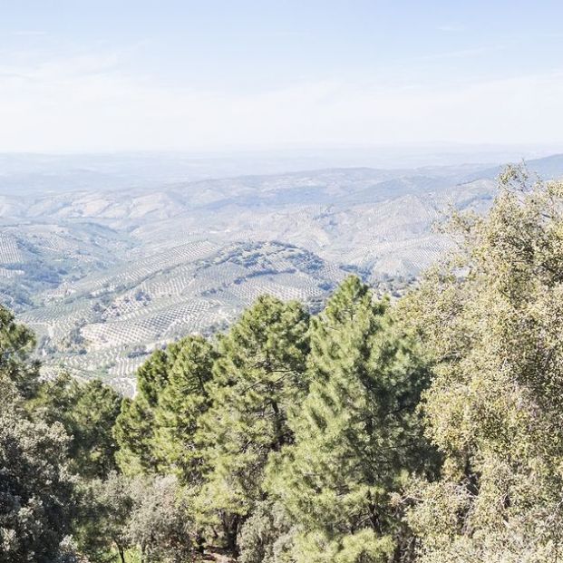 Vista panorámica de Cazorla