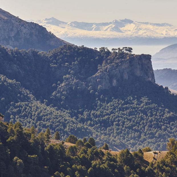 Montañas y bosque en Cazorla