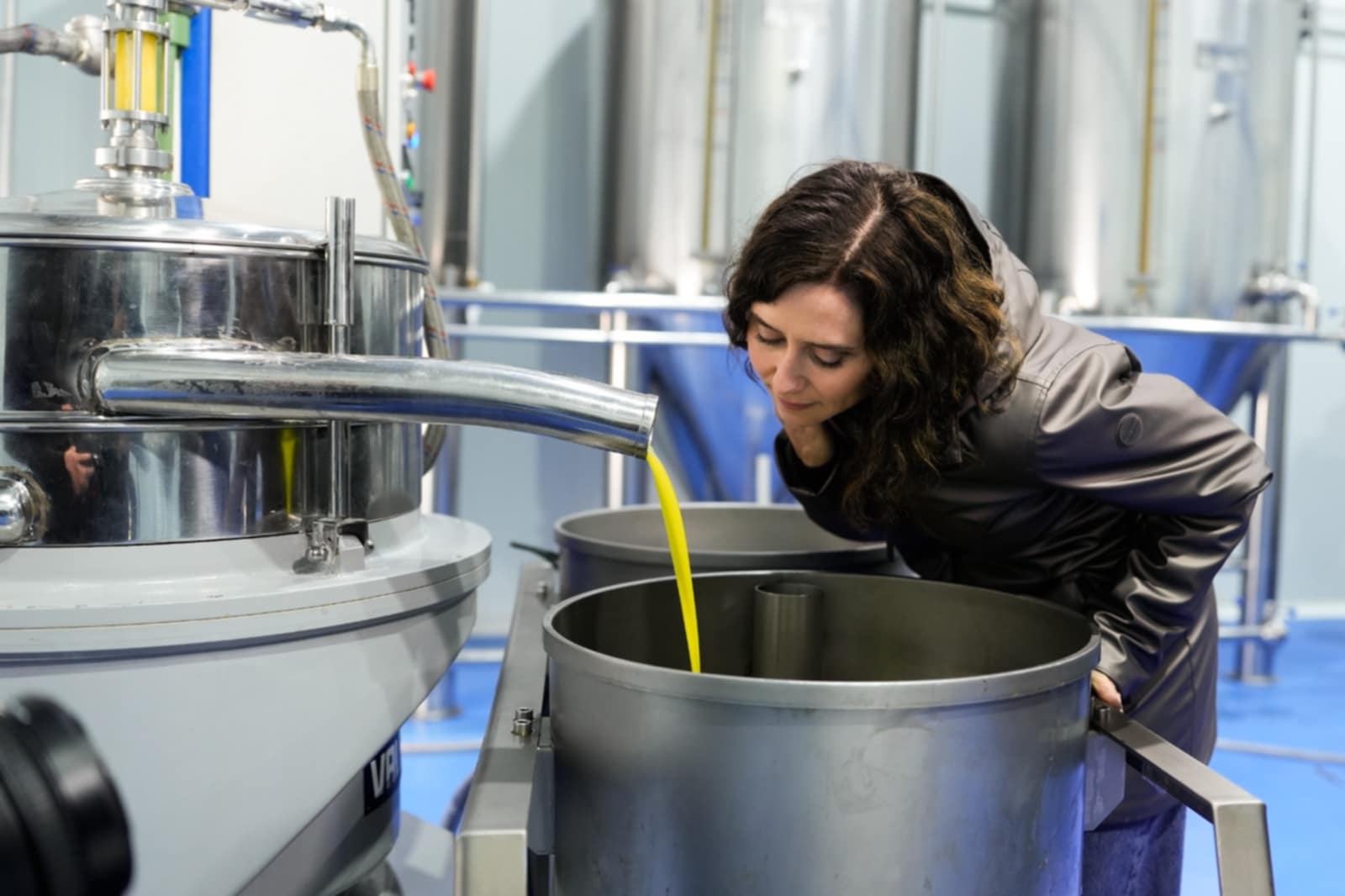 De ruta por las almazaras de Madrid para disfrutar del mejor aceite de oliva de la región