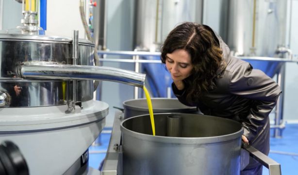 De ruta por las almazaras de Madrid para disfrutar del mejor aceite de oliva de la región