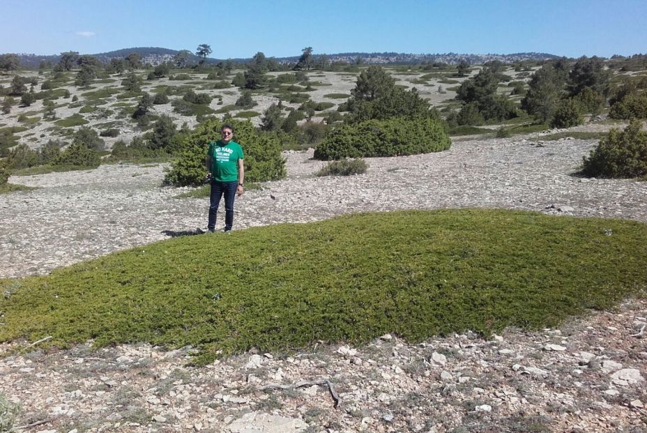 Antoni Ballester en el bosque. Fuente: Europa Press.