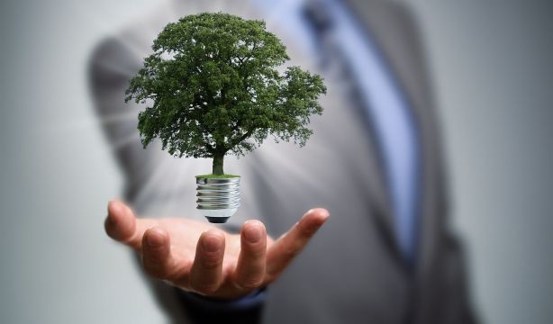 Fedea defiende un mecanismo de compensación para las zonas rurales más impactadas por las renovables