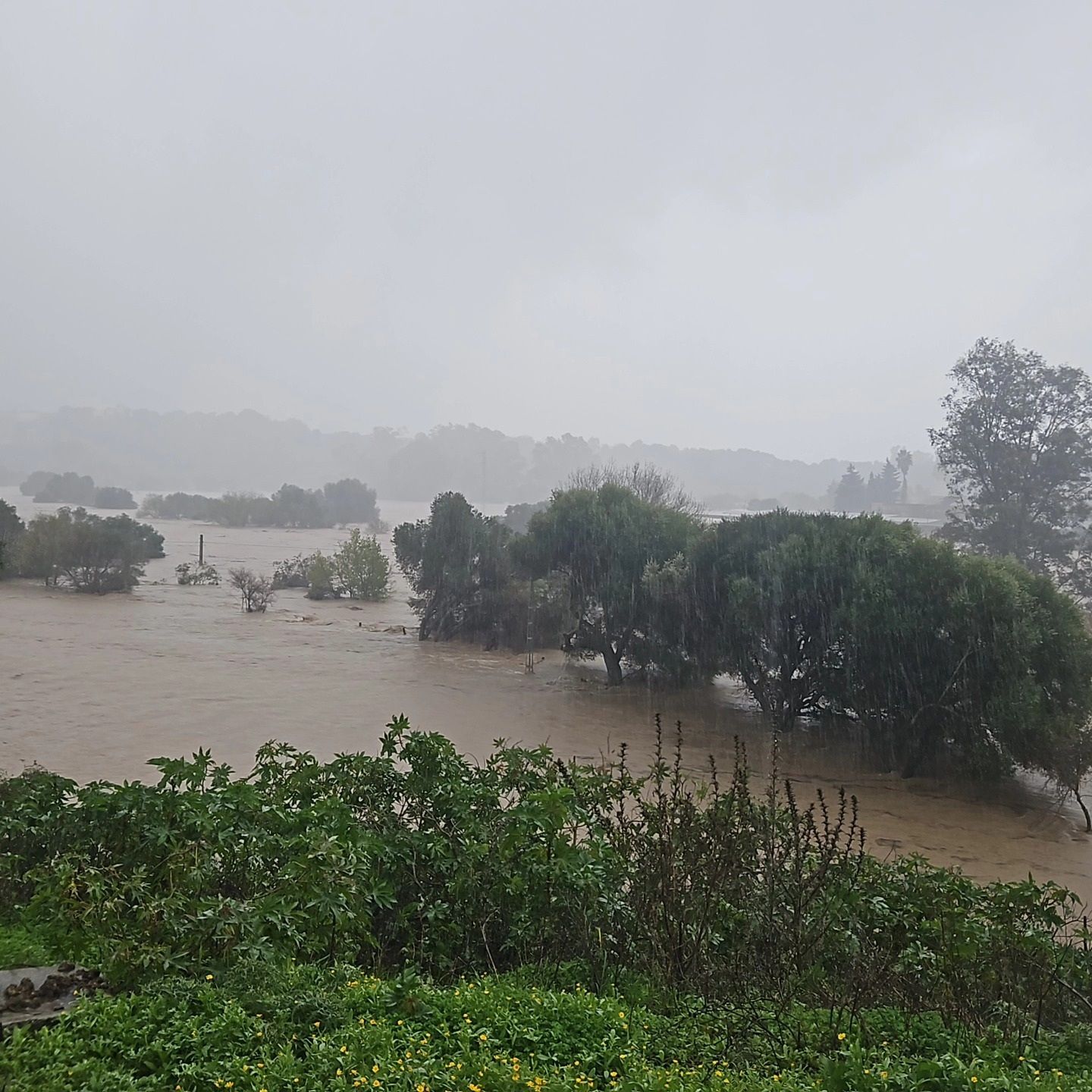 Borrasca Francis: Todas las CCAA, salvo Extremadura,  en alerta por lluvias, nieve, frío y oleaje
