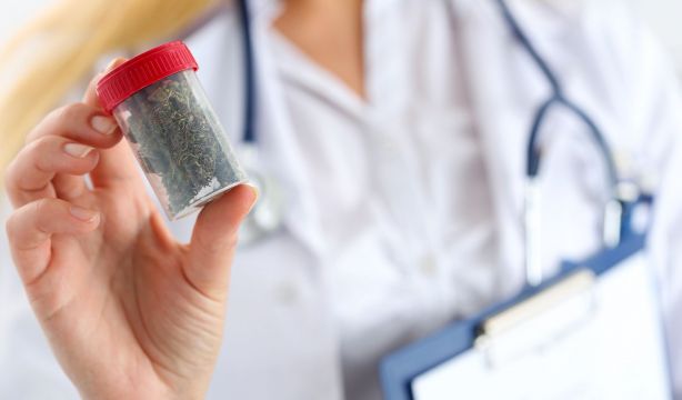 El cannabis con alto contenido de THC ofrece alivio limitado del dolor crónico. Foto: Bigstock.