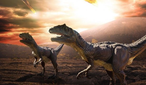 Un estudio revela cómo corrían los dinosaurios tras analizar sus huellas
