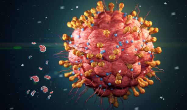 Revelan cómo actúa una nueva generación de antivirales contra el virus del herpes, Foto: Bigstock.