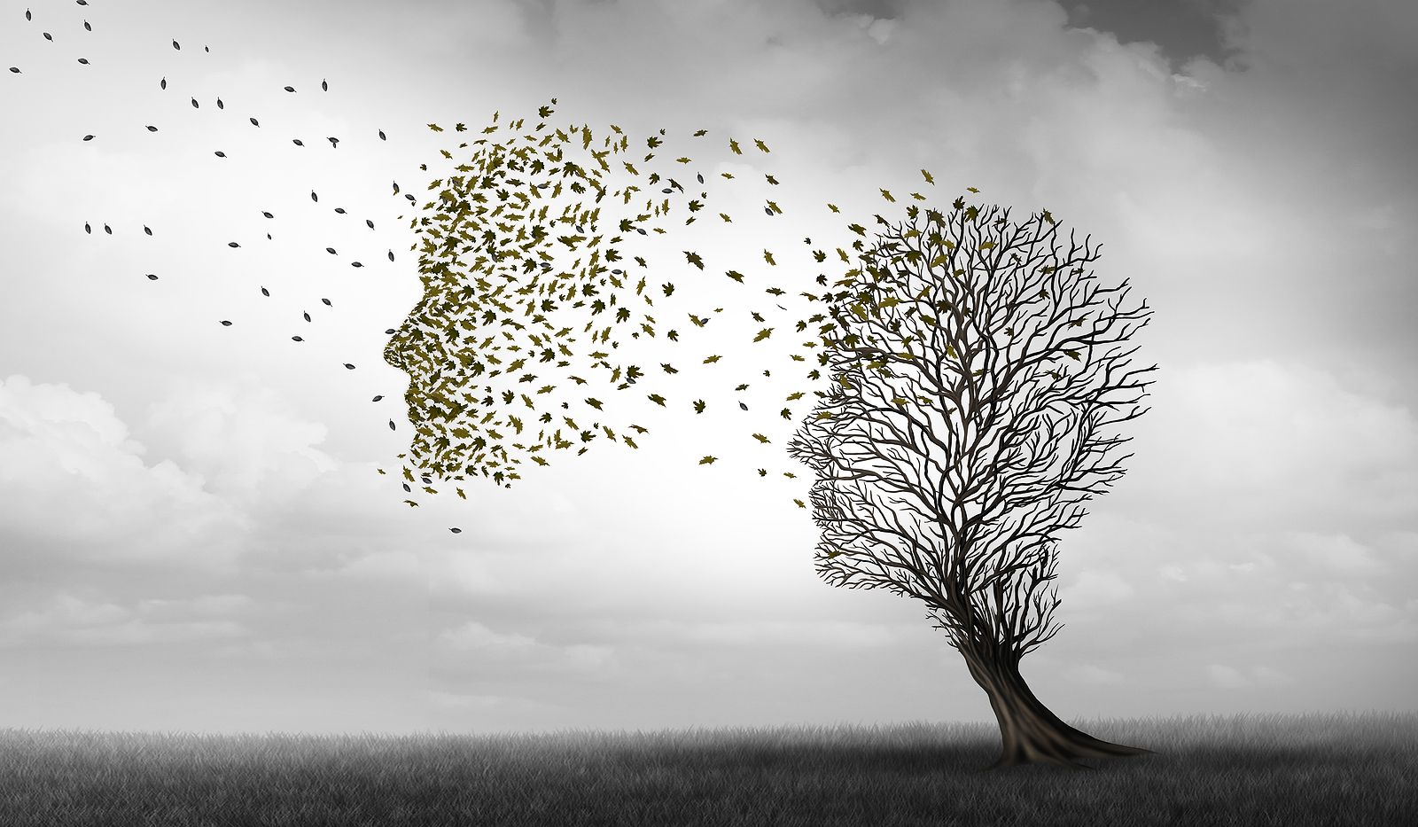 Un solo gen podría estar detrás de la mayoría de los casos de Alzheimer. Foto: Bigstock.