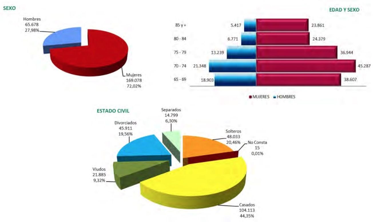 perfil pension jubilacion no contributiva 2025