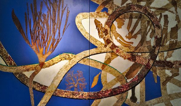 'Fotosíntesis Atlántica', la exposición que busca concienciar en la conservación del océano