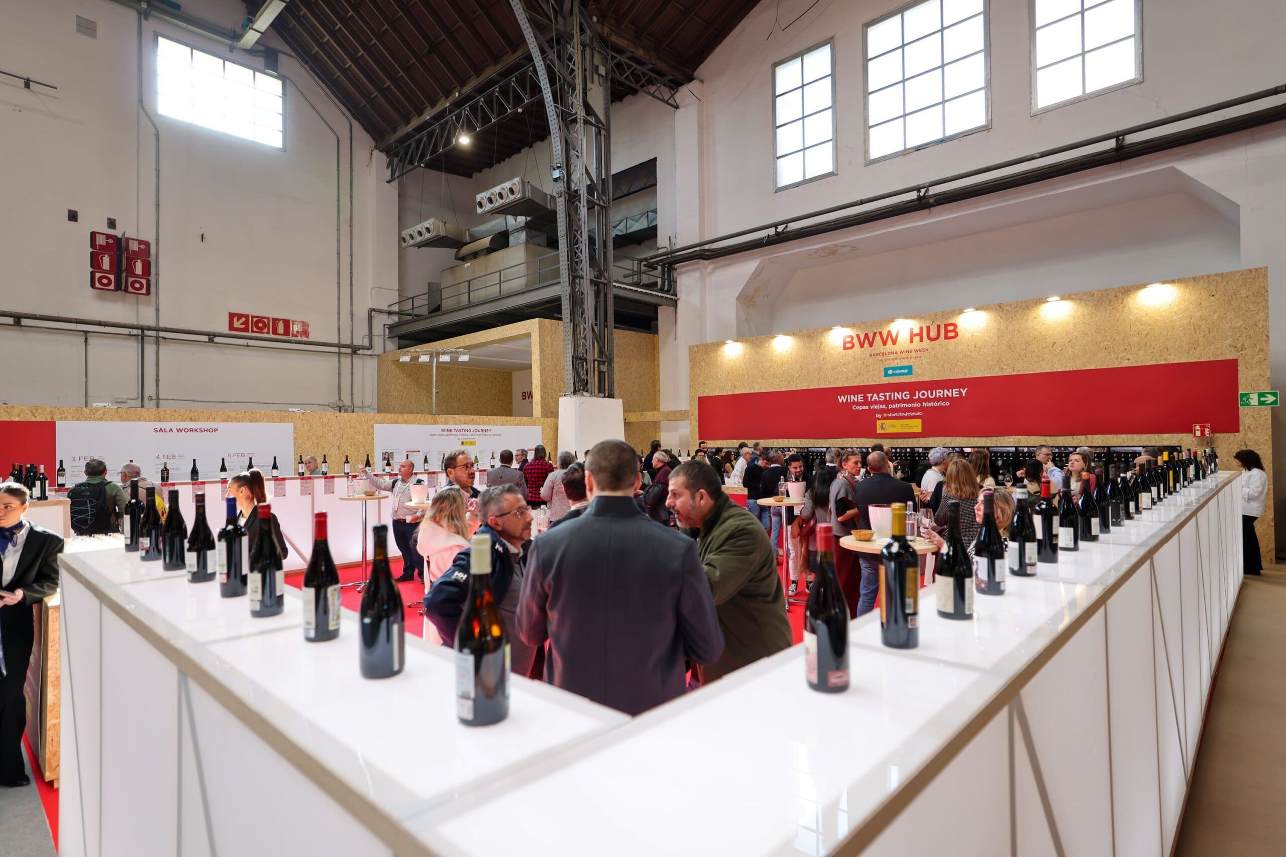 Nueva edición de Barcelona Wine Week: más de 1.300 bodegas de 90 denominaciones de origen