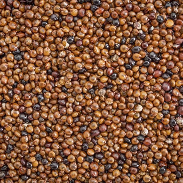 Cañihua Cañihua