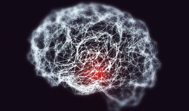Envejecer no es perder la memoria: así cambia el cerebro con el paso del tiempo. Foto: Bigstock.