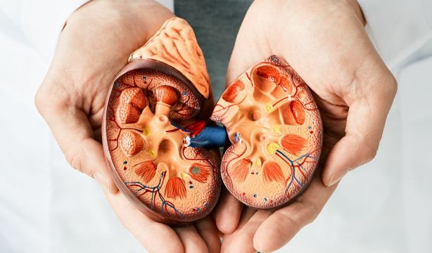 Este es el tipo de alimentación que debes seguir para cuidar tus riñones