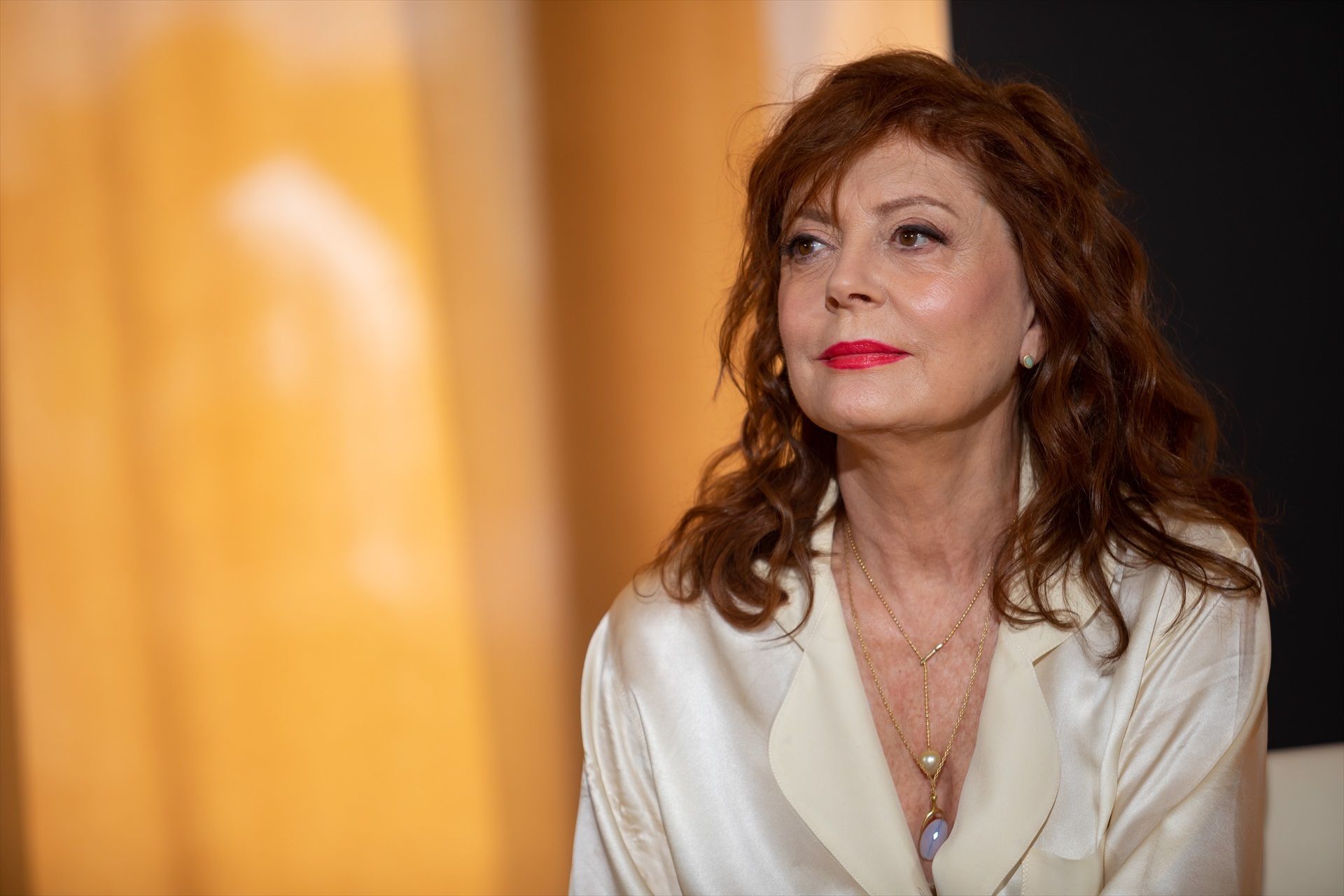 Susan Sarandon, Goya Internacional 2026