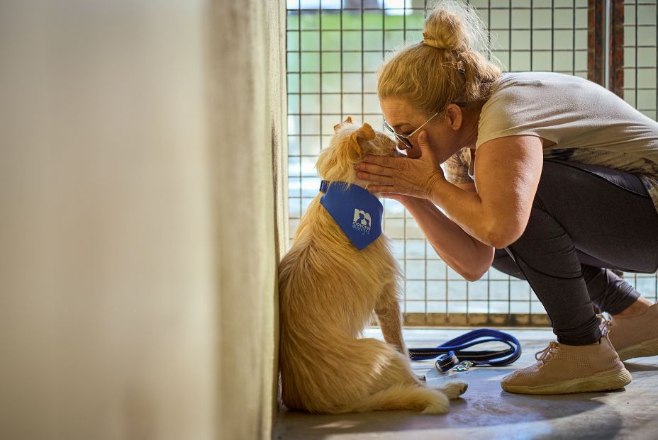 Foto: Mayores Amigos.