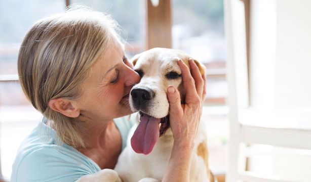 Una plataforma conecta a personas mayores y perros senior para combatir la soledad no deseada. Foto: Bigstock.