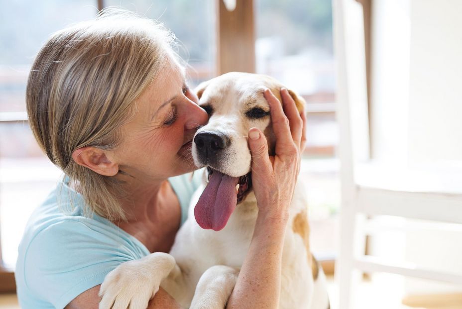 bigstock Senior woman and dog 89824061