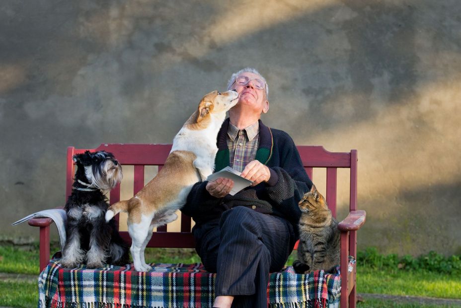 Los beneficios de tener una mascota para las personas mayores y la importancia de cuidarla