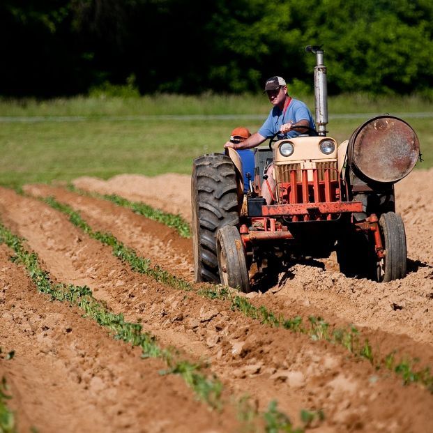 El 77% de los autónomos en zonas rurales son mayores de 59 años