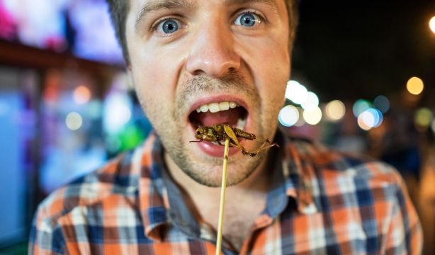 Los insectos comestibles, una alternativa nutricional y sostenible ante el cambio climático. Foto: Bigstock.