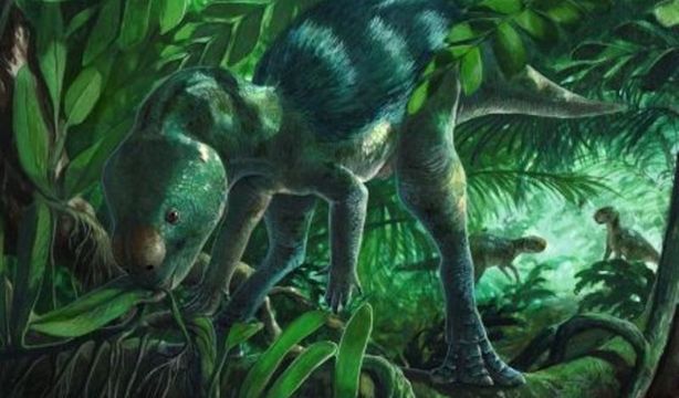 Hallan en Burgos huesos del dinosaurio más pequeño del mundo: no superaba los 30 cm de altura
