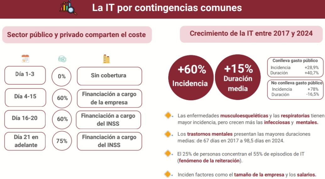 cifra it estudio airef febrero 25