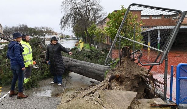 Cómo reclamar al seguro los daños causados por el temporal