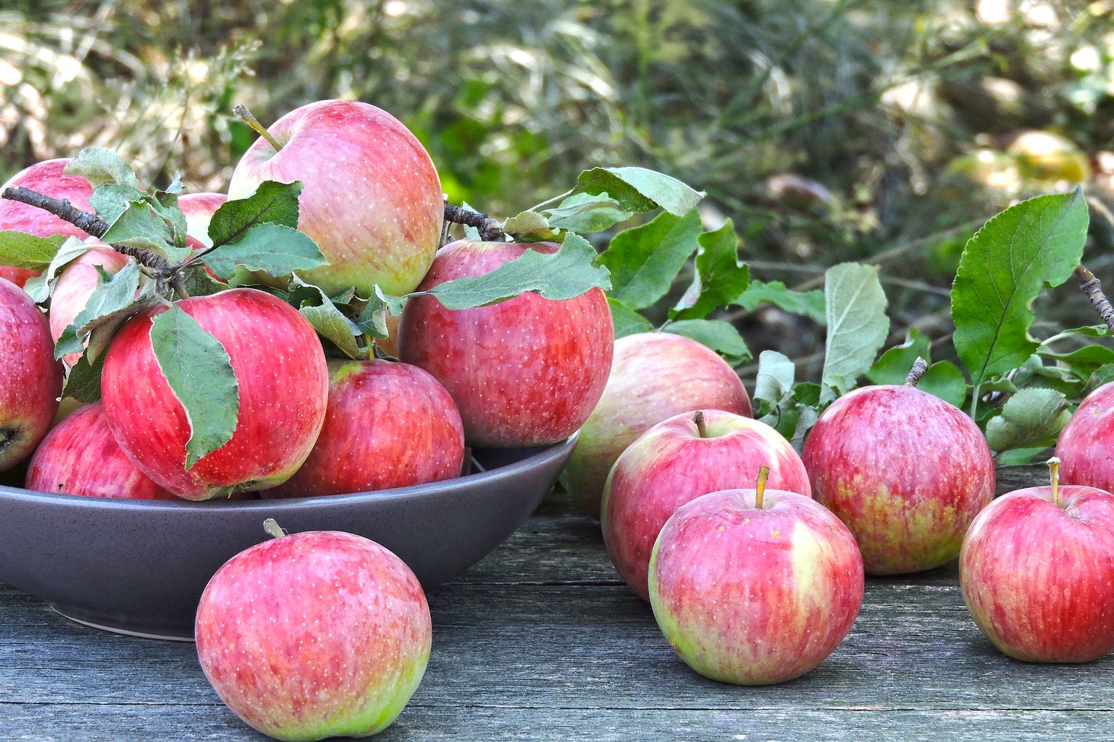 Platos y postres que puedes hacer para aprovechar las manzanas