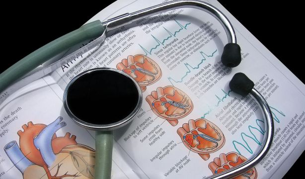 Científicos del Vall d'Hebron Institut de Recerca hallan la clave del deterioro cardíaco
