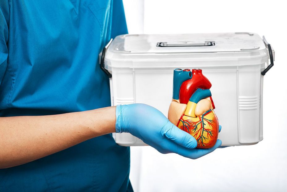 bigstock Cardiac Surgeon With Organ Tra 403434968