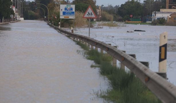 UGT pone en valor el trabajo de la ayuda a domicilio durante el temporal en Andalucía