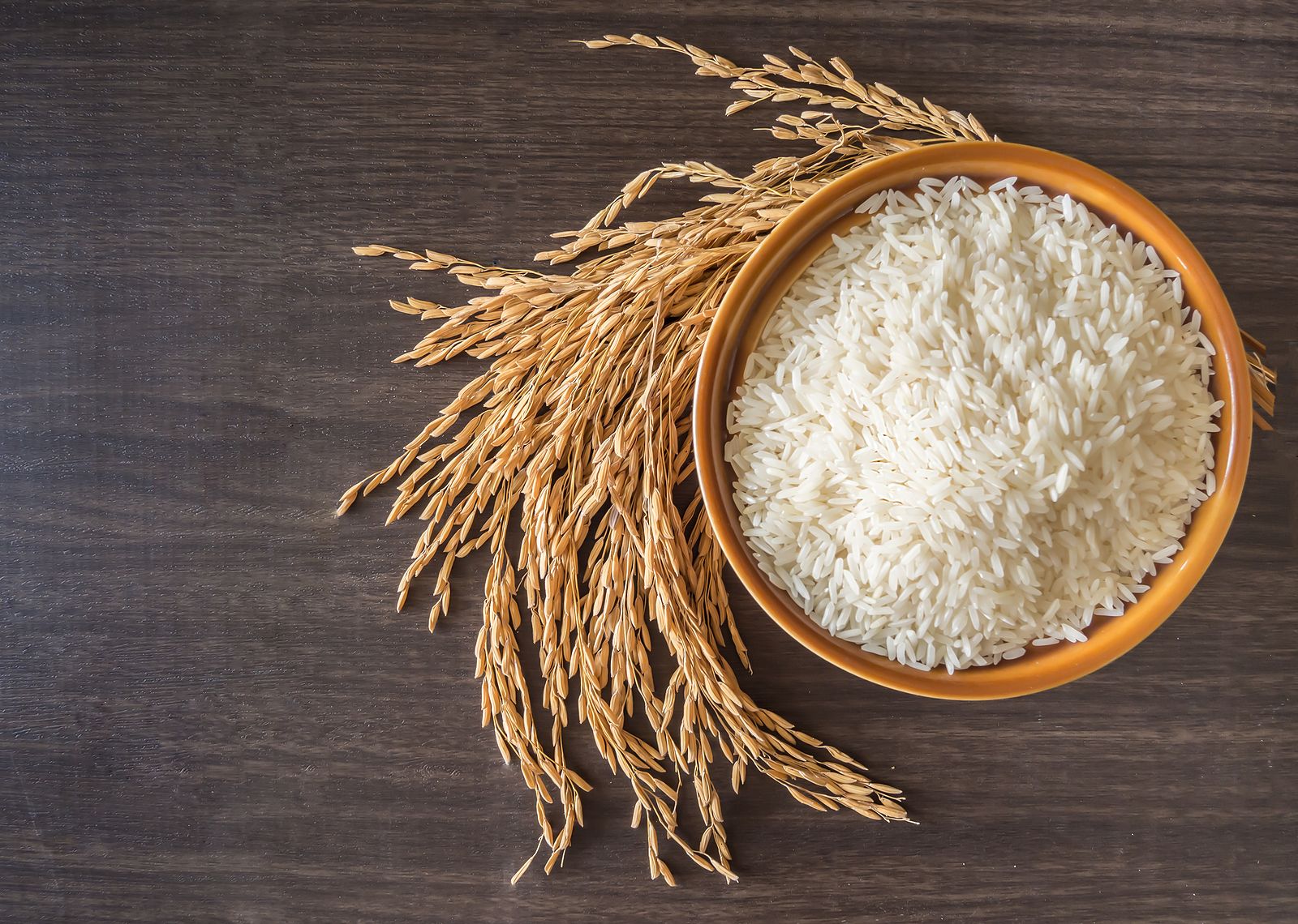 Cómo elegir el grano de arroz perfecto para cada plato. Foto: Bigstock.