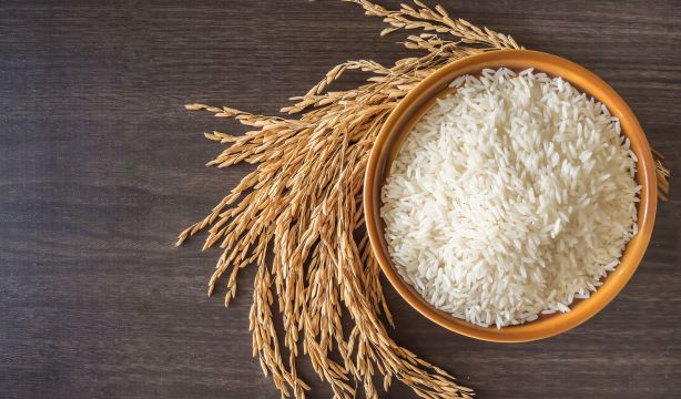 Cómo elegir el grano de arroz perfecto para cada plato. Foto: Bigstock.