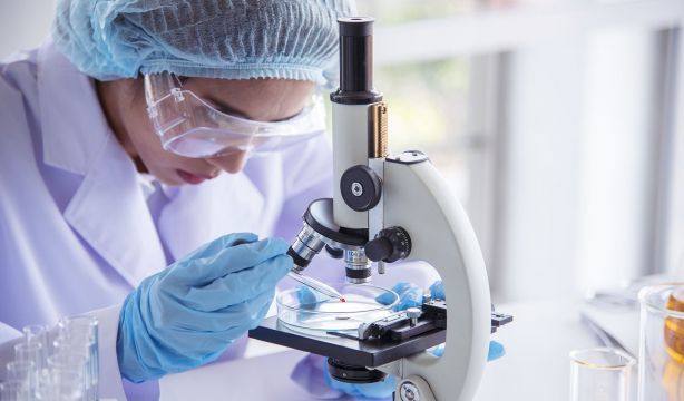 Células CAR-T: ¿una nueva estrategia terapéutica contra el alzhéimer? (Bigstock)