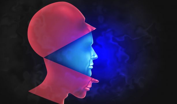 La impostura de lo falso