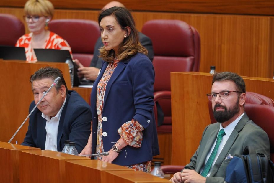 EuropaPress 7208172 secretaria general upl alicia gallego imagen archivo cortes castilla leon